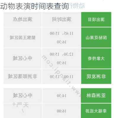 动物表演时间表查询