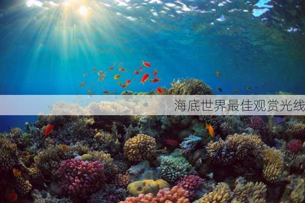 海底世界最佳观赏光线