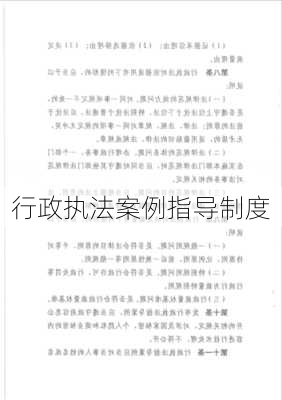 行政执法案例指导制度