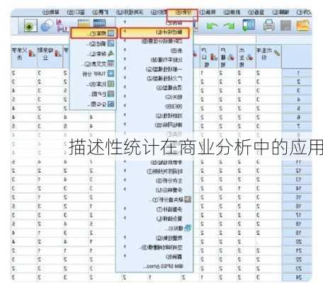 描述性统计在商业分析中的应用