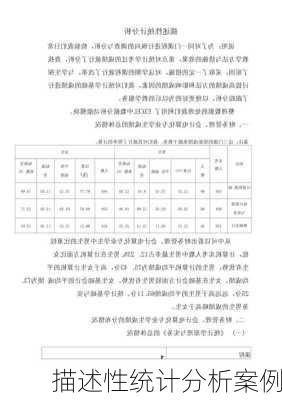 描述性统计分析案例
