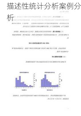 描述性统计分析案例分析