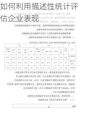 如何利用描述性统计评估企业表现