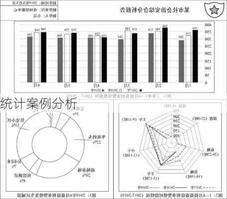 统计案例分析