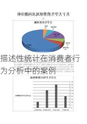 描述性统计在消费者行为分析中的案例