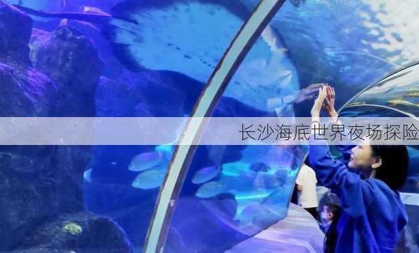 长沙海底世界夜场探险
