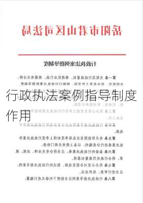 行政执法案例指导制度作用