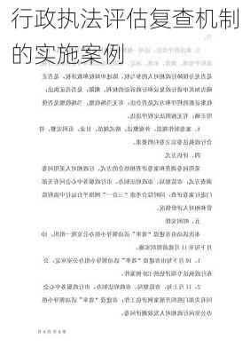 行政执法评估复查机制的实施案例