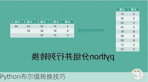 Python布尔值转换技巧