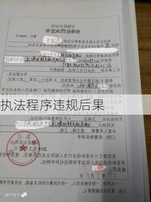 执法程序违规后果