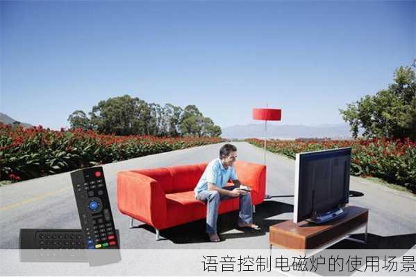 语音控制电磁炉的使用场景