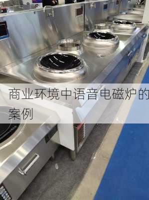 商业环境中语音电磁炉的案例