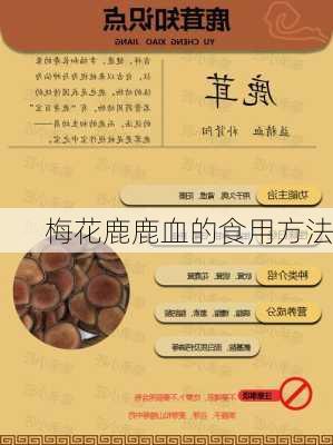 梅花鹿鹿血的食用方法