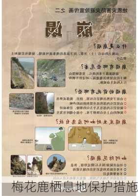 梅花鹿栖息地保护措施