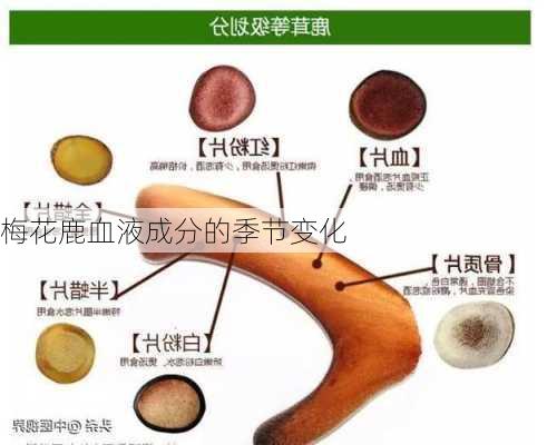 梅花鹿血液成分的季节变化