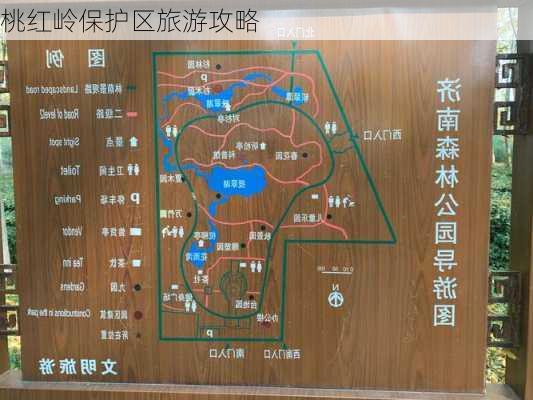 桃红岭保护区旅游攻略