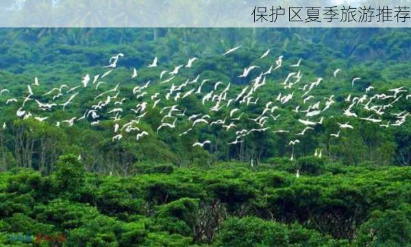 保护区夏季旅游推荐