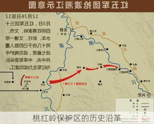 桃红岭保护区的历史沿革