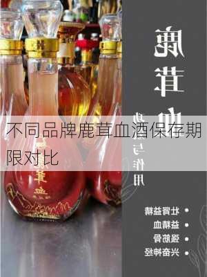 不同品牌鹿茸血酒保存期限对比