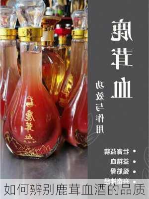 如何辨别鹿茸血酒的品质