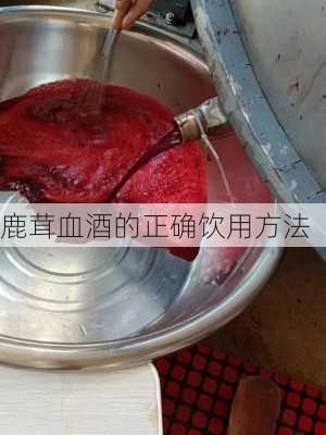 鹿茸血酒的正确饮用方法