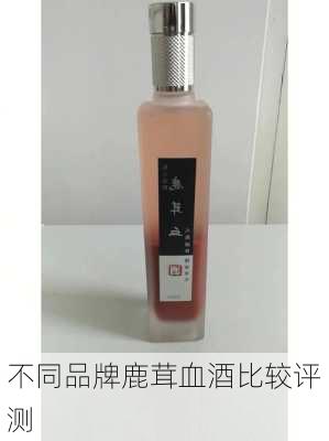 不同品牌鹿茸血酒比较评测
