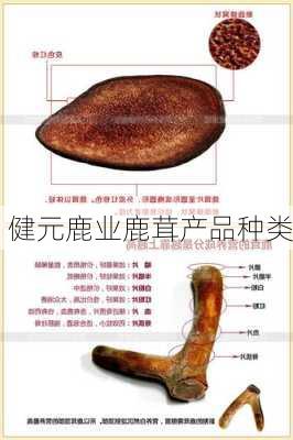 健元鹿业鹿茸产品种类