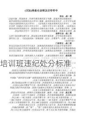 培训班违纪处分标准