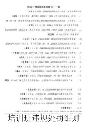 培训班违规处罚细则