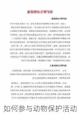 如何参与动物保护活动
