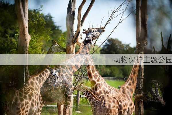 动物保护主题公园