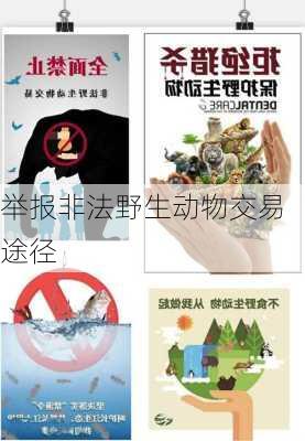 举报非法野生动物交易途径