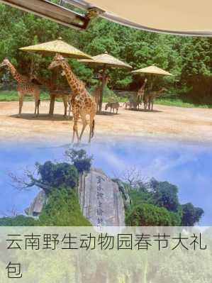 云南野生动物园春节大礼包
