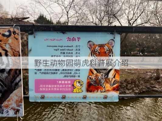 野生动物园萌虎科普展介绍
