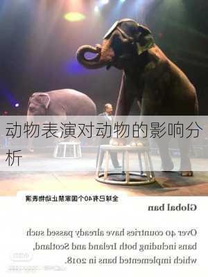 动物表演对动物的影响分析