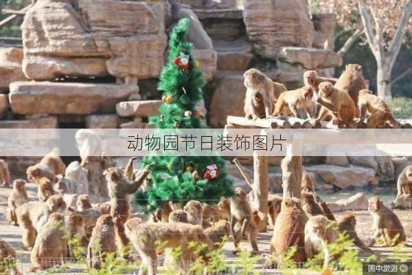 动物园节日装饰图片