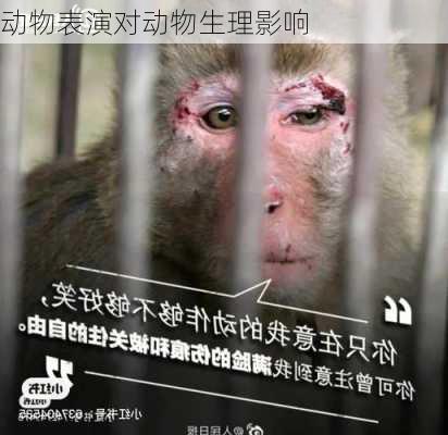 动物表演对动物生理影响