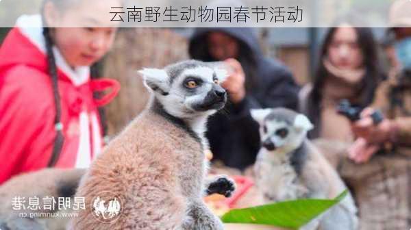 云南野生动物园春节活动