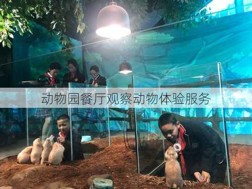 动物园餐厅观察动物体验服务