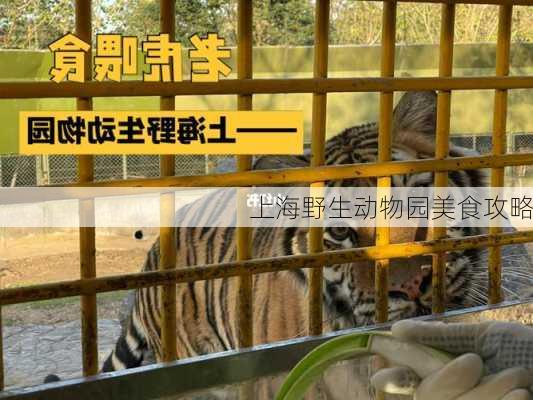 上海野生动物园美食攻略