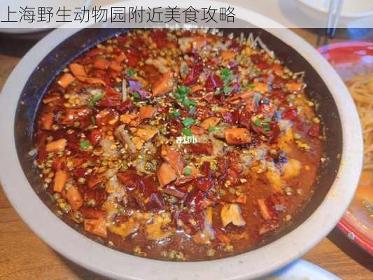 上海野生动物园附近美食攻略