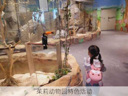 茱莉动物园特色活动