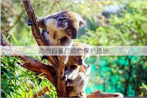 动物园餐厅动物保护措施