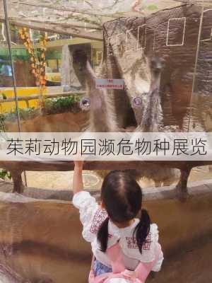 茱莉动物园濒危物种展览