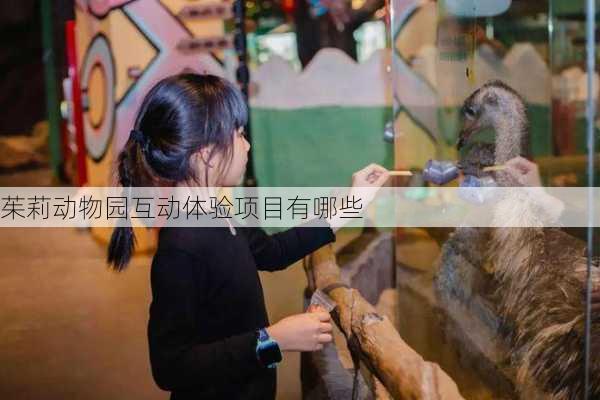 茱莉动物园互动体验项目有哪些