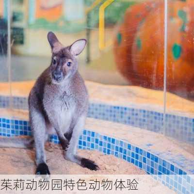 茱莉动物园特色动物体验