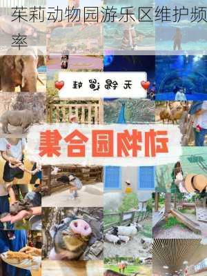 茱莉动物园游乐区维护频率