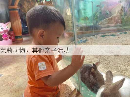 茱莉动物园其他亲子活动
