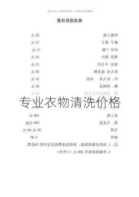 专业衣物清洗价格