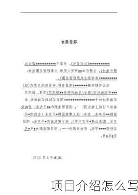 项目介绍怎么写